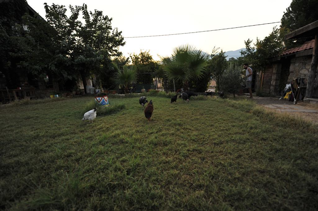 Olympos Koyevi Countryhouse Bagian luar foto