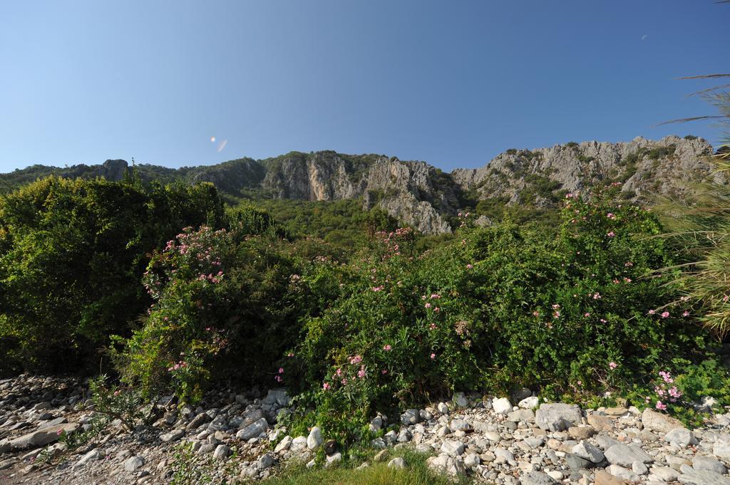 Olympos Koyevi Countryhouse Bagian luar foto