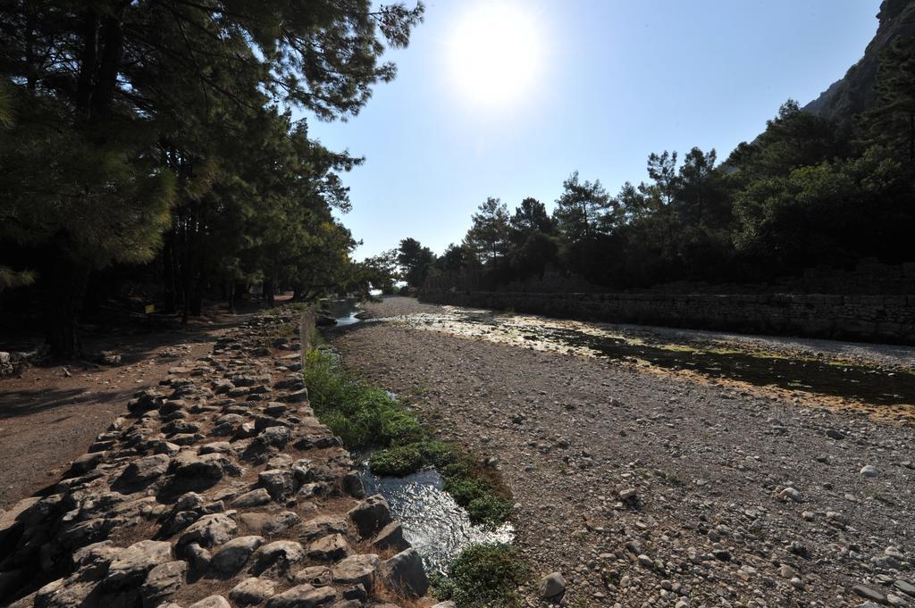 Olympos Koyevi Countryhouse Bagian luar foto