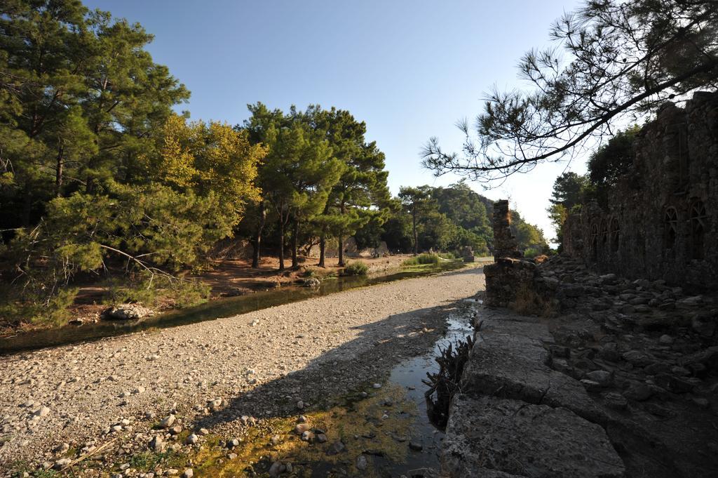 Olympos Koyevi Countryhouse Bagian luar foto