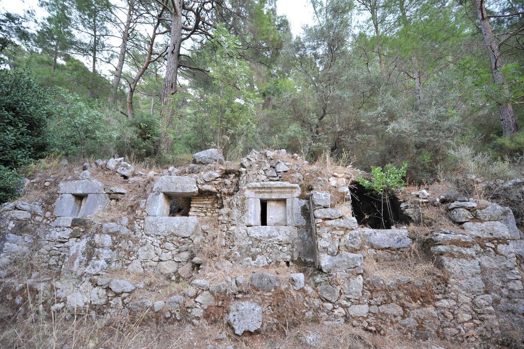 Olympos Koyevi Countryhouse Bagian luar foto