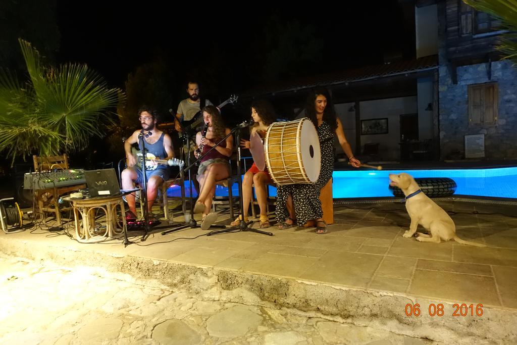 Olympos Koyevi Countryhouse Bagian luar foto